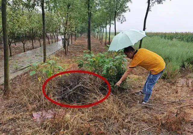 山西女教师新婚8个月遇害！警方掘坟提取DNA，丈夫被判无罪后再受审