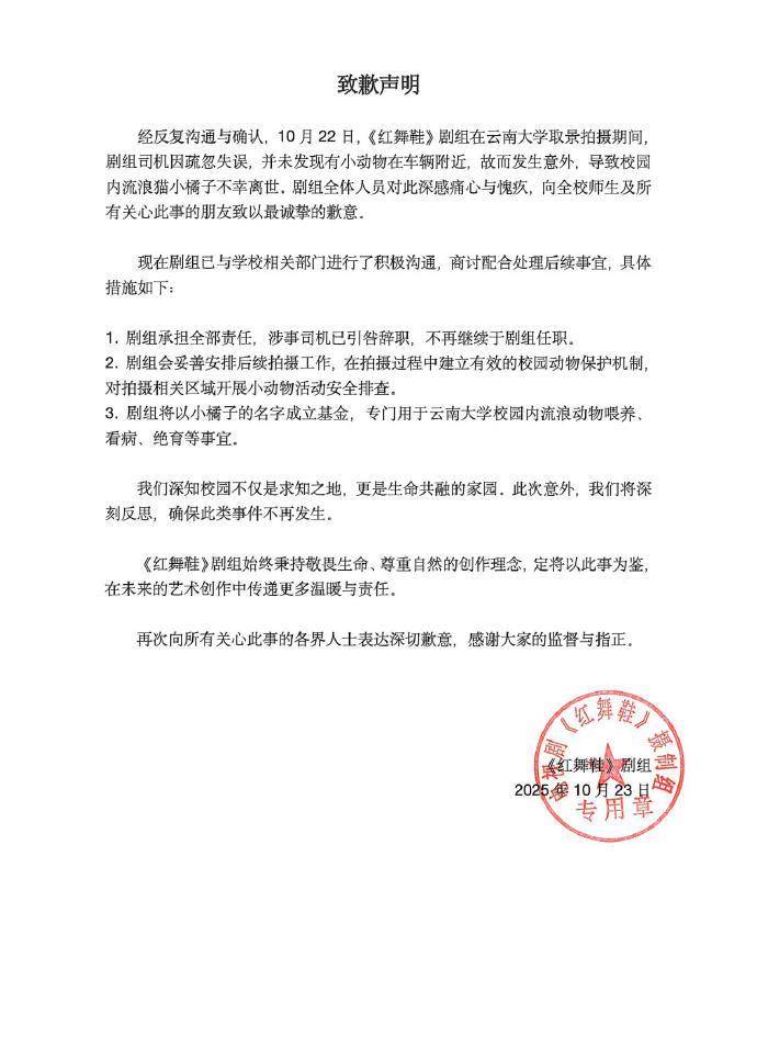 剧组高校内开车撞死流浪猫,校方责任跑不了